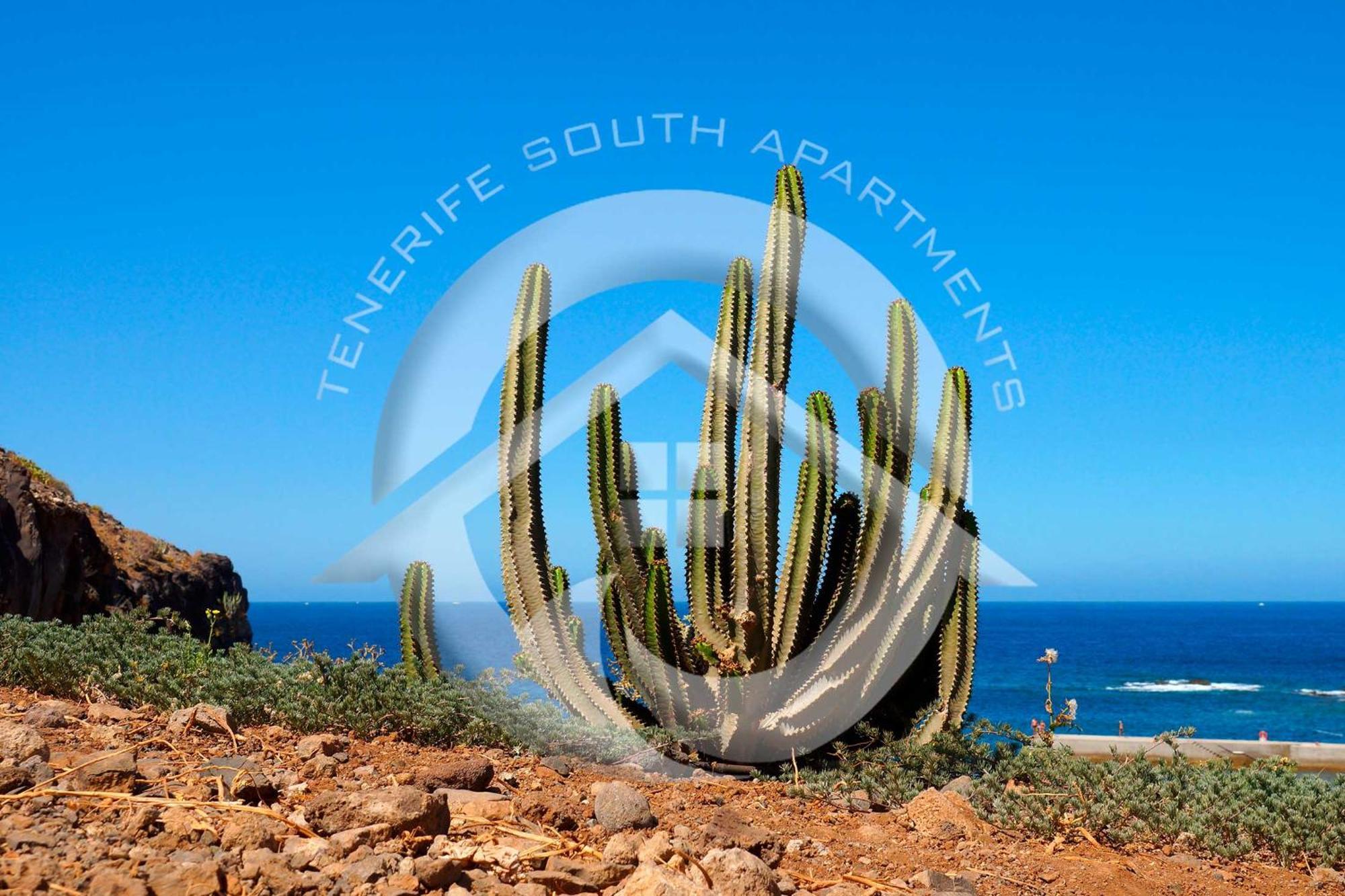 Appartamento My Sea View Costa Adeje  Esterno foto